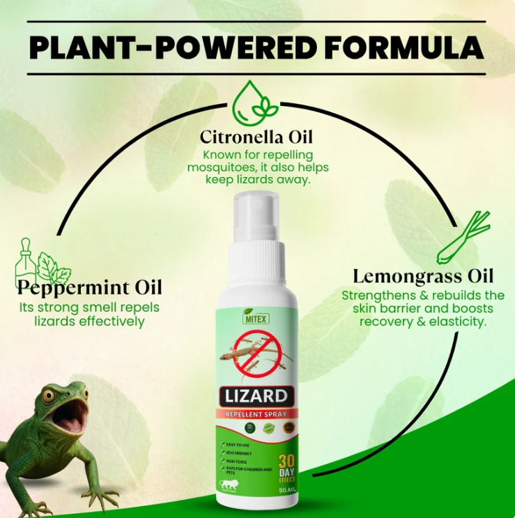 Natural Herbal Lizard Repellent Spray (Pack of 3 × 50ml) | Chemical-Free Indoor Lizard Spray | Long-Lasting Protection for Home