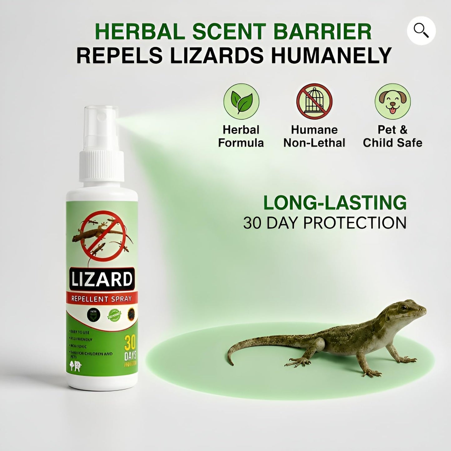 Natural Herbal Lizard Repellent Spray (Pack of 3 × 50ml) | Chemical-Free Indoor Lizard Spray | Long-Lasting Protection for Home