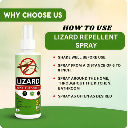 Natural Herbal Lizard Repellent Spray (Pack of 3 × 50ml) | Chemical-Free Indoor Lizard Spray | Long-Lasting Protection for Home