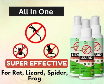 Natural Herbal Lizard Repellent Spray (Pack of 3 × 50ml) | Chemical-Free Indoor Lizard Spray | Long-Lasting Protection for Home